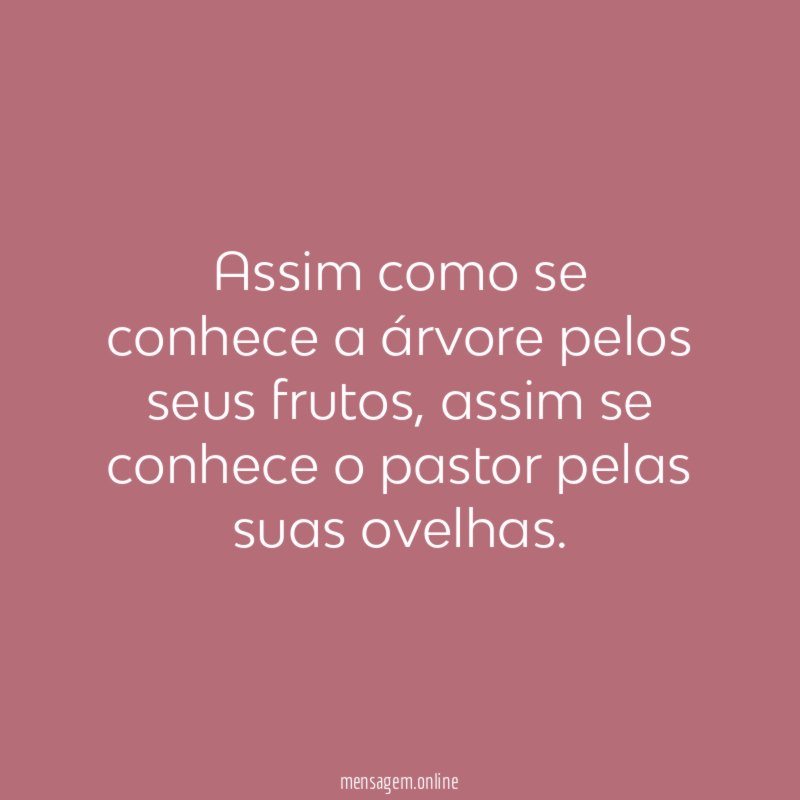 Assim como se conhece a árvore pelos seus frutos