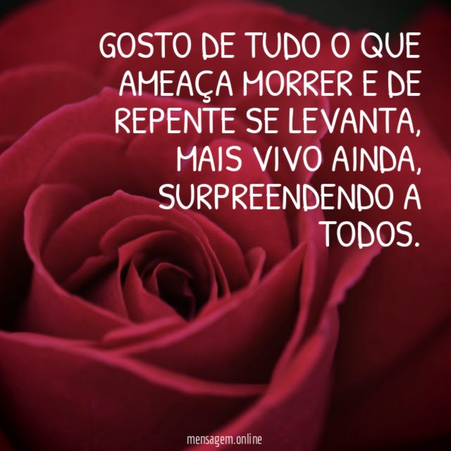 Surpreendentemente