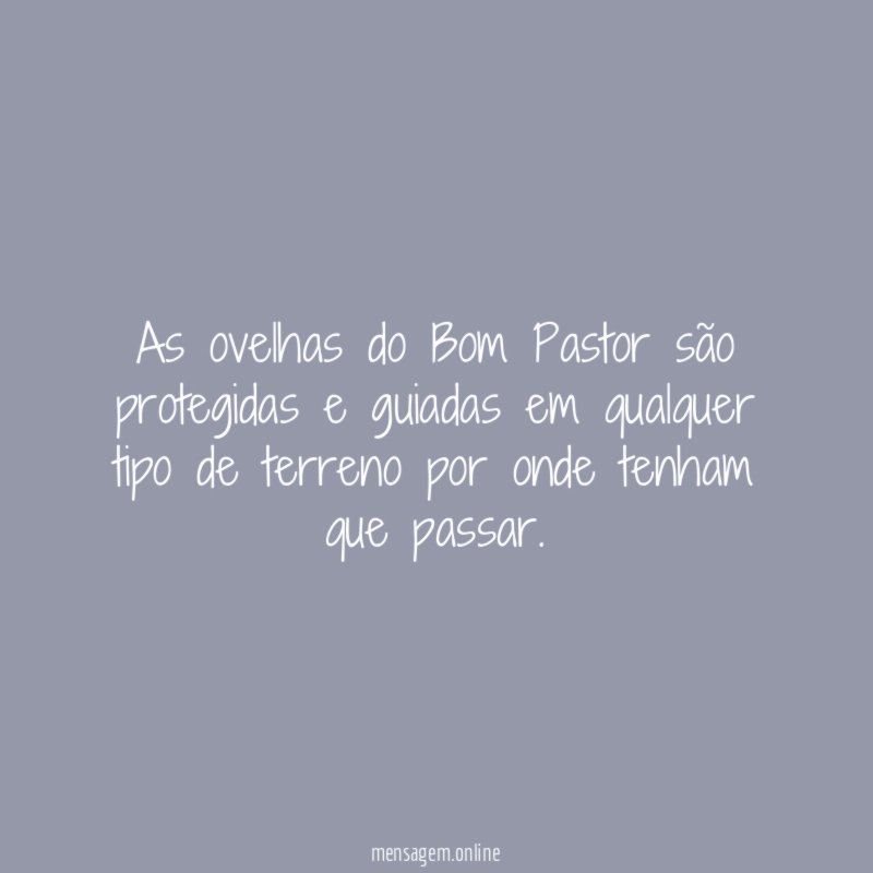 As ovelhas do Bom Pastor são protegidas