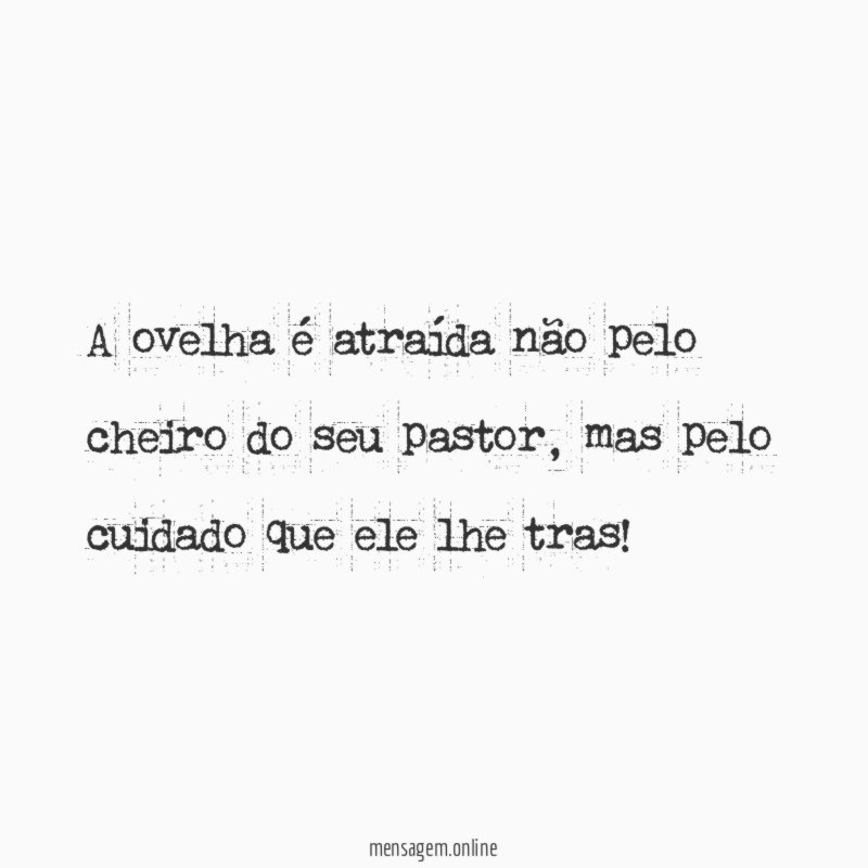 A ovelha é atraída não pelo cheiro do seu pastor