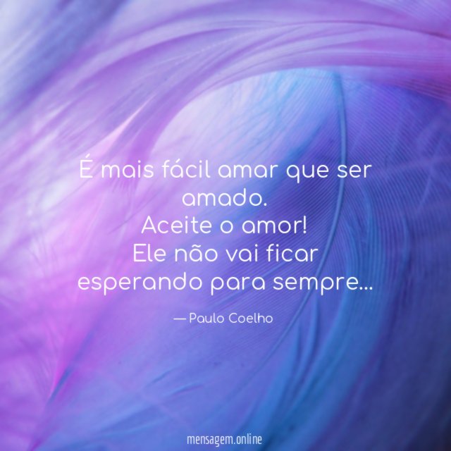Aceite o amor