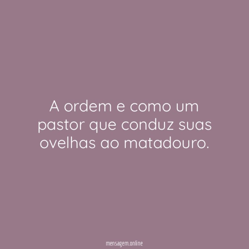A ordem e como um pastor que conduz suas ovelhas ao matadouro