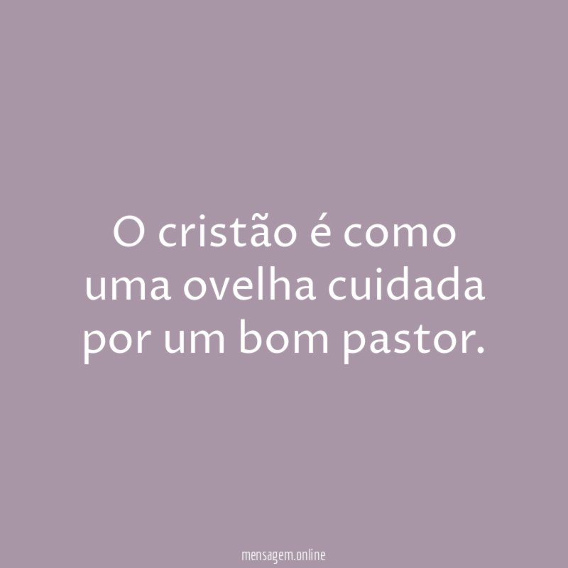 O cristão é como uma ovelha cuidada por um bom pastor