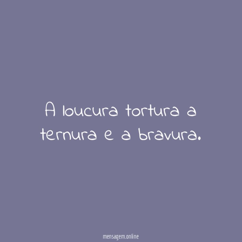 A loucura tortura a ternura e a bravura