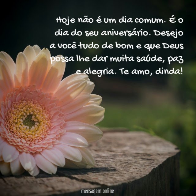 Muita paz