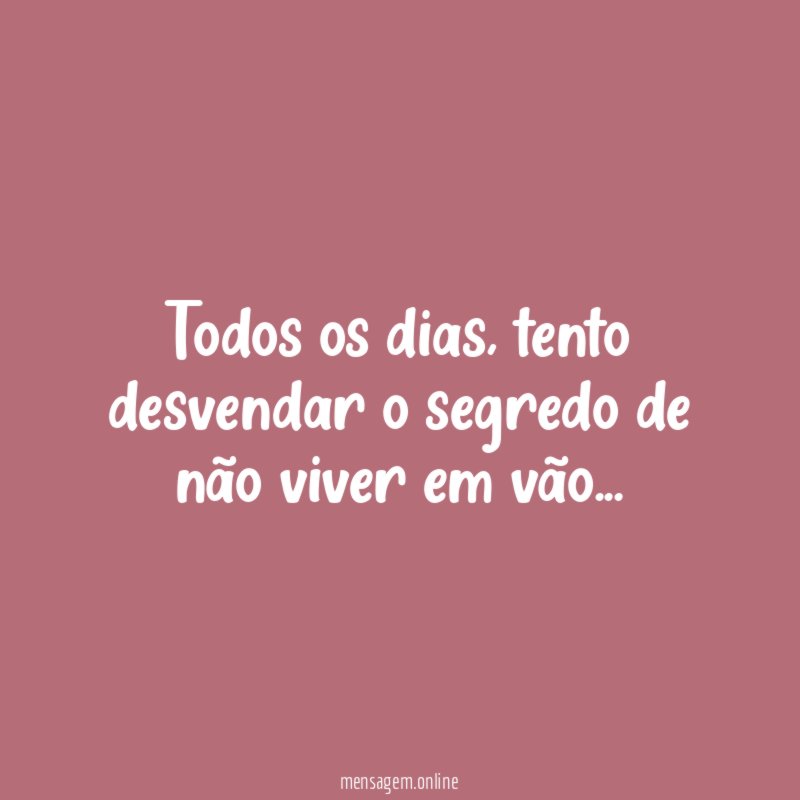 Todos os dias