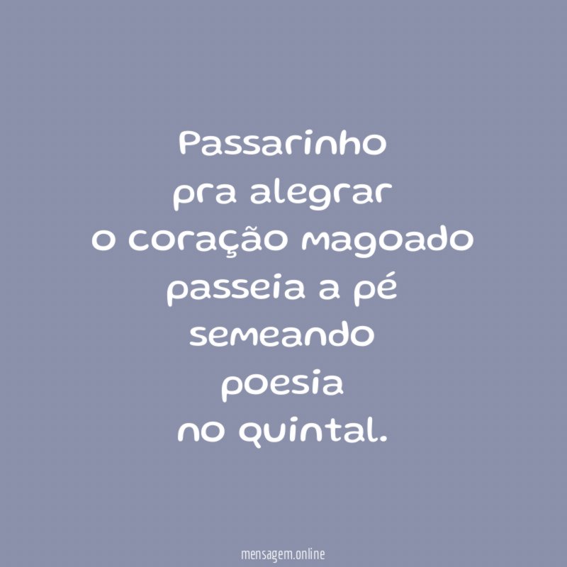 Passarinho pra alegrar o coração magoado passeia a pé semeando poesia no quintal