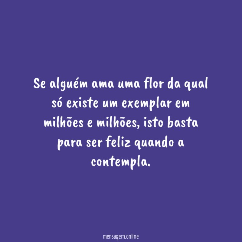 Basta ser Feliz