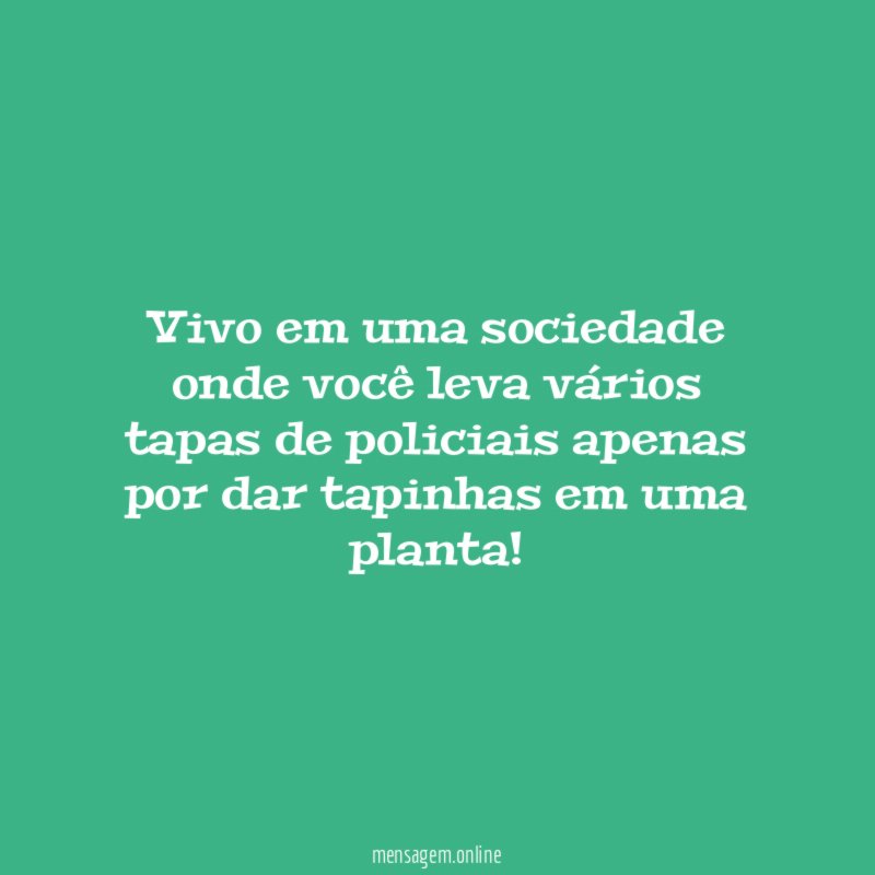 Vivo em uma sociedade onde você leva vários