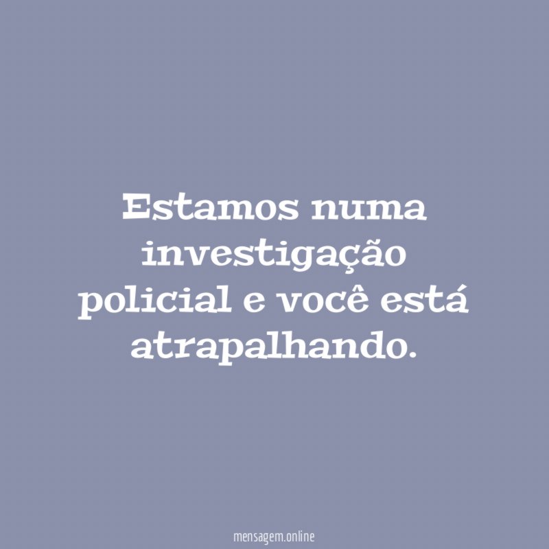 Estamos numa investigação policial e você está atrapalhando