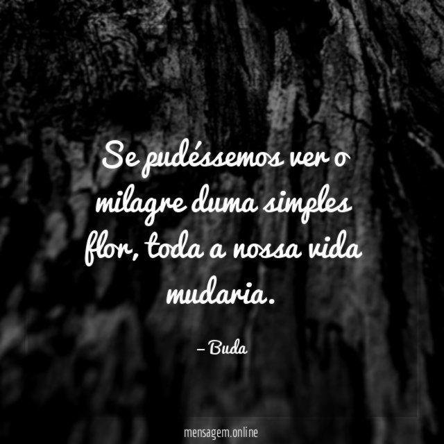 Se pudéssemos ver o milagre duma simples flor