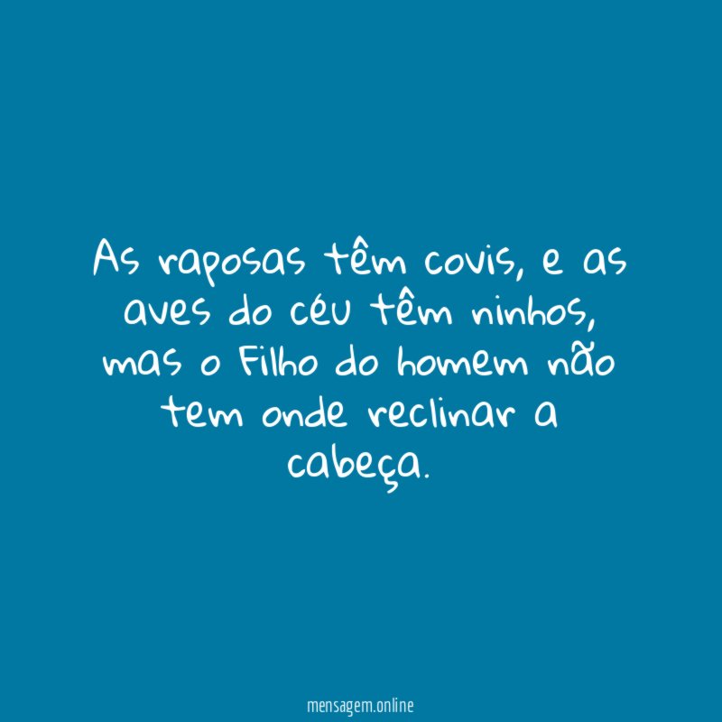 As raposas têm covis