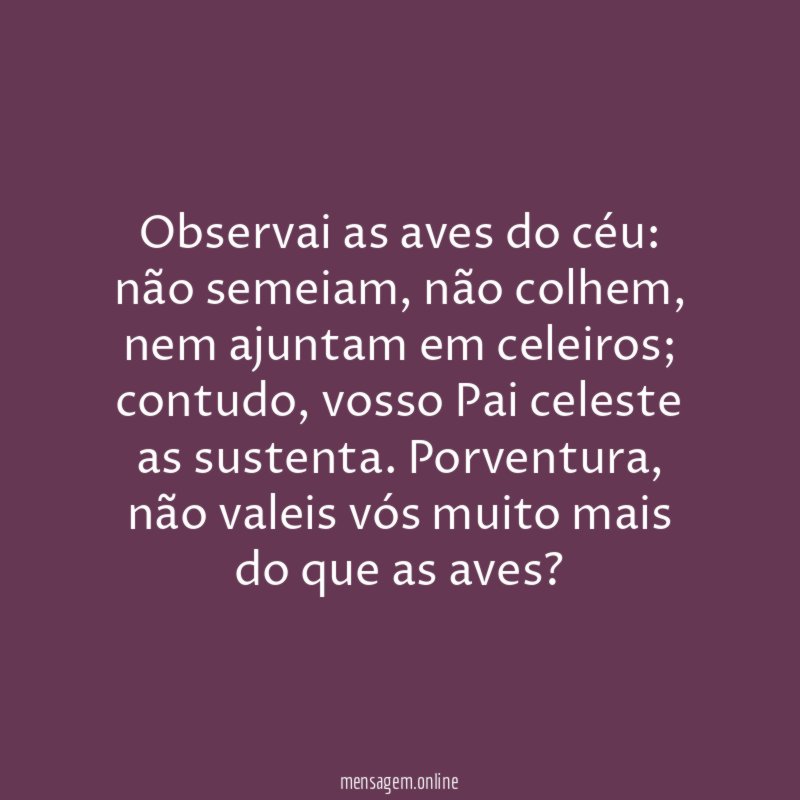 Observai as aves do céu