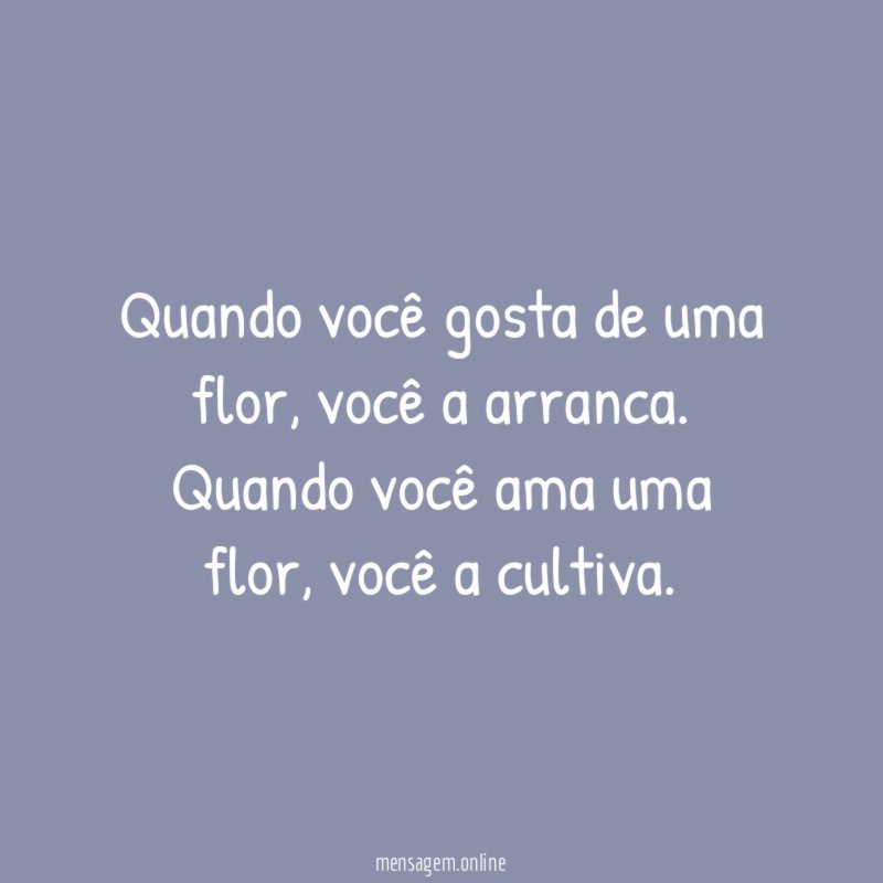 Quando você gosta de uma flor