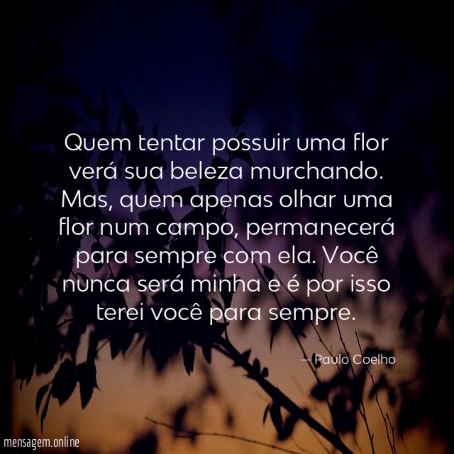 Flores e você