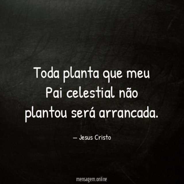 Toda planta que meu Pai celestial não plantou será arrancada