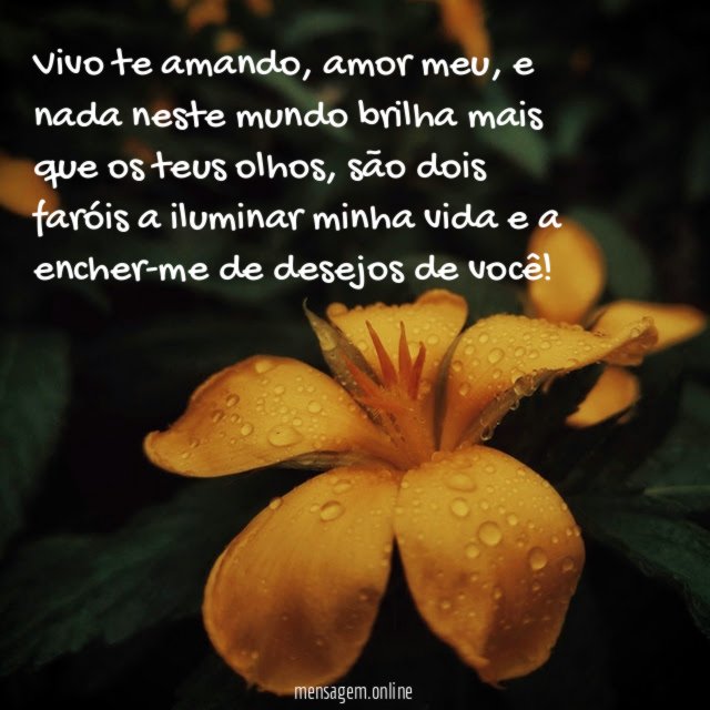 Vivo te amando