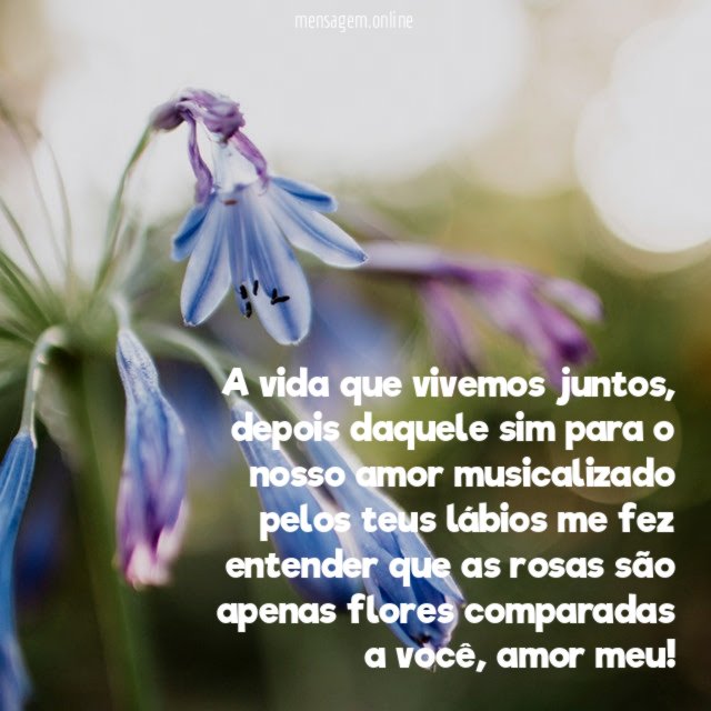 Vivemos juntos