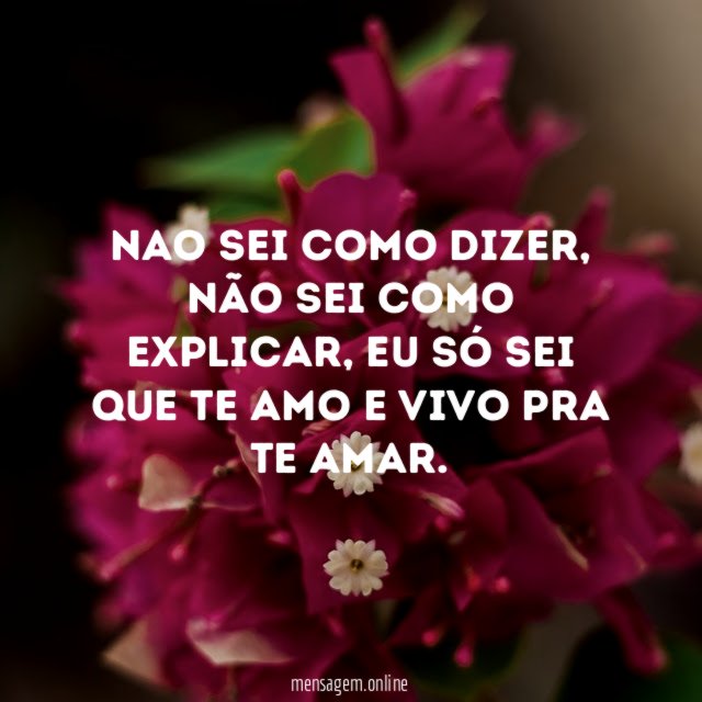 Vivo pra te amar