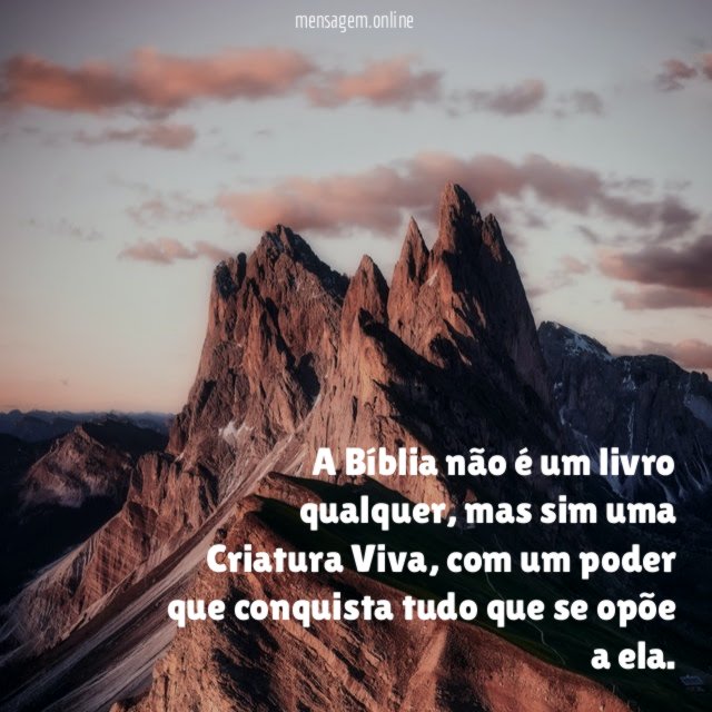 Não é um livro qualquer