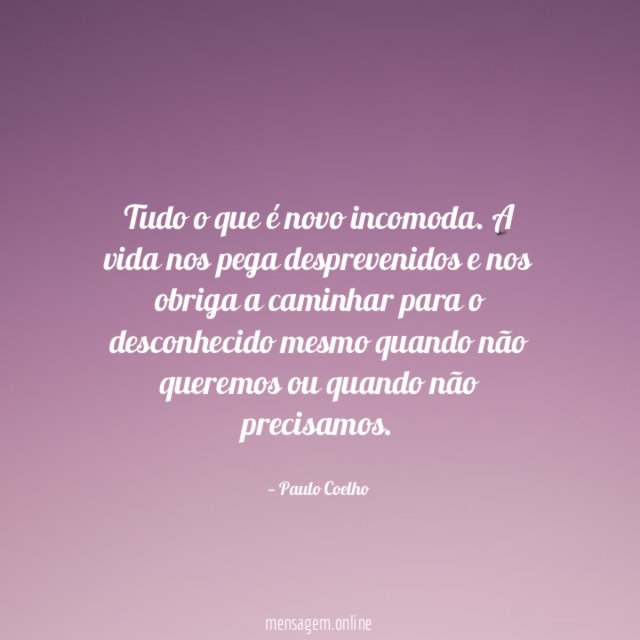 Tudo o que é novo