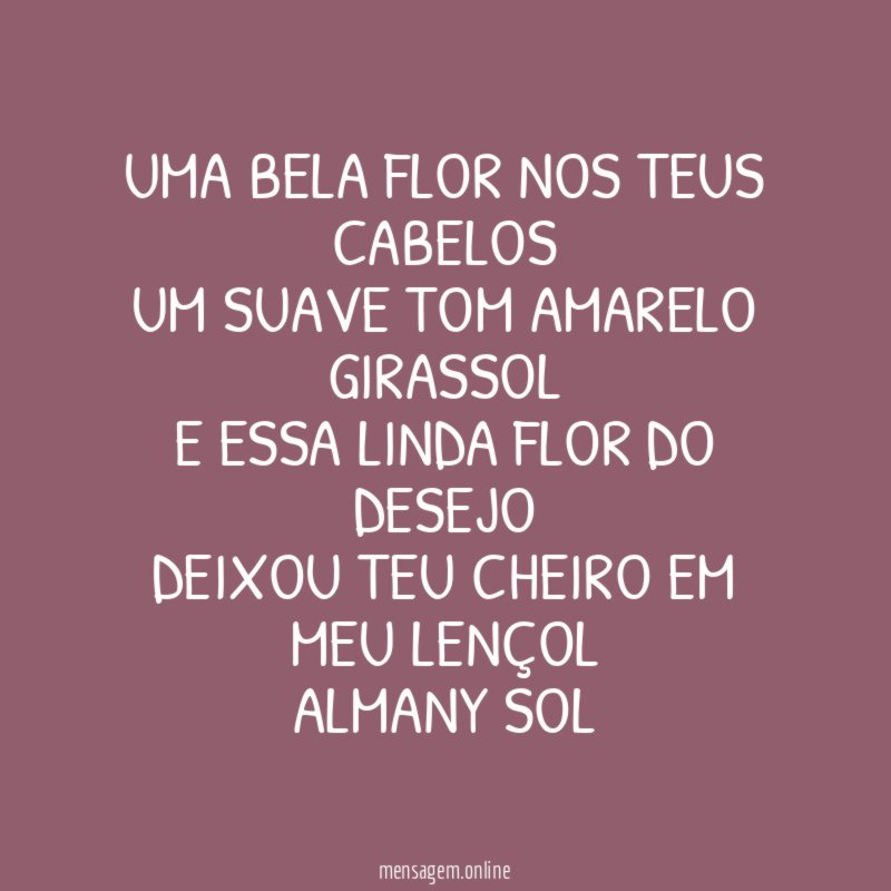 UMA BELA FLOR NOS TEUS CABELOS
UM SUAVE TOM AMARELO GIRASSOL
E ESSA LINDA FLOR DO DESEJO
DEIXOU TEU CHEIRO EM MEU LENÇOL