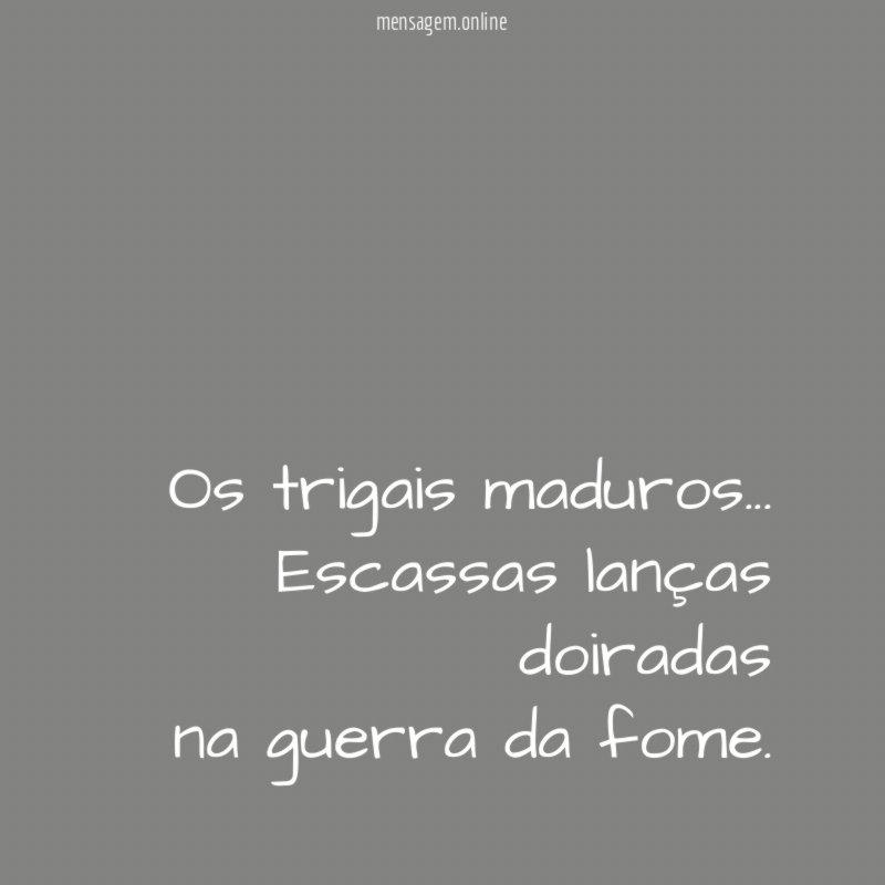 Os trigais maduros