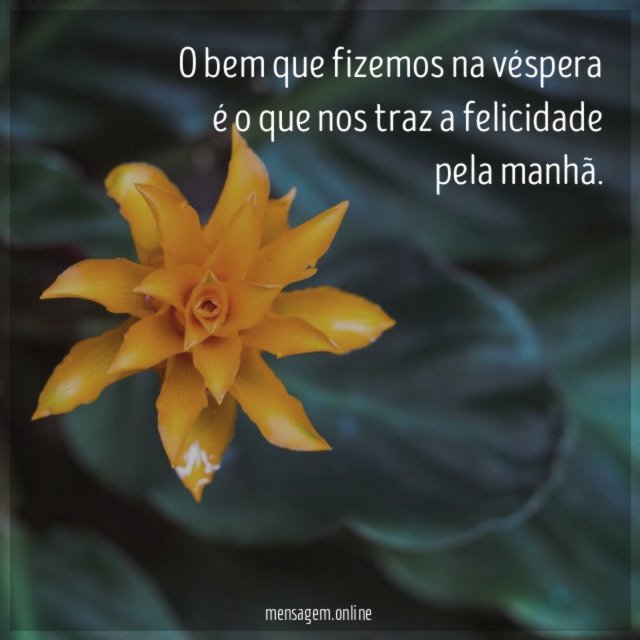 O Bem