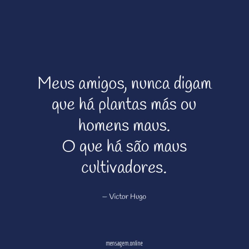 Meus amigos