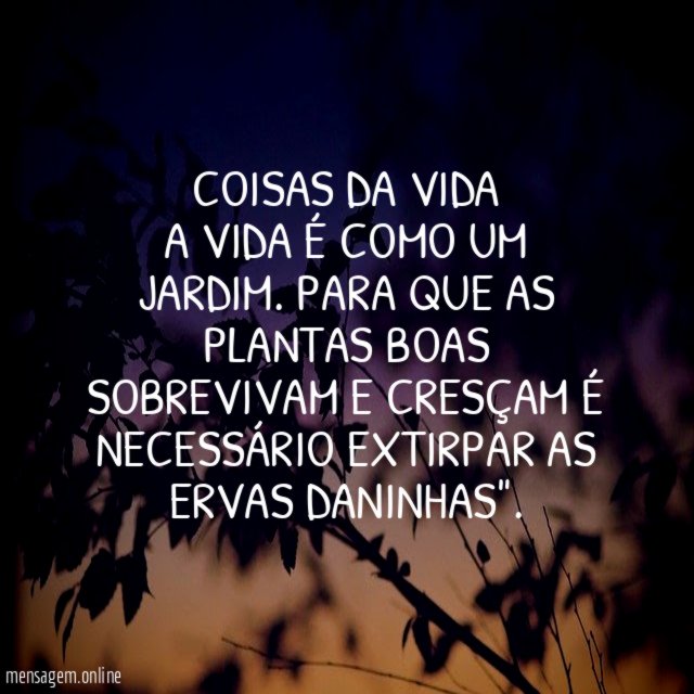 COISAS DA VIDA