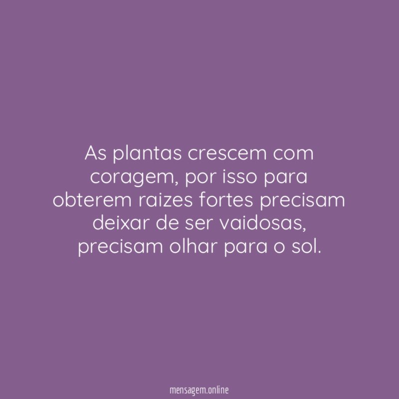 As plantas crescem com coragem