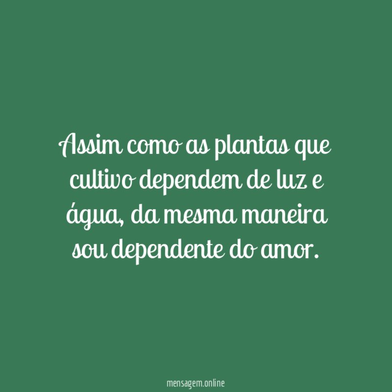 Assim como as plantas que cultivo dependem de luz e água