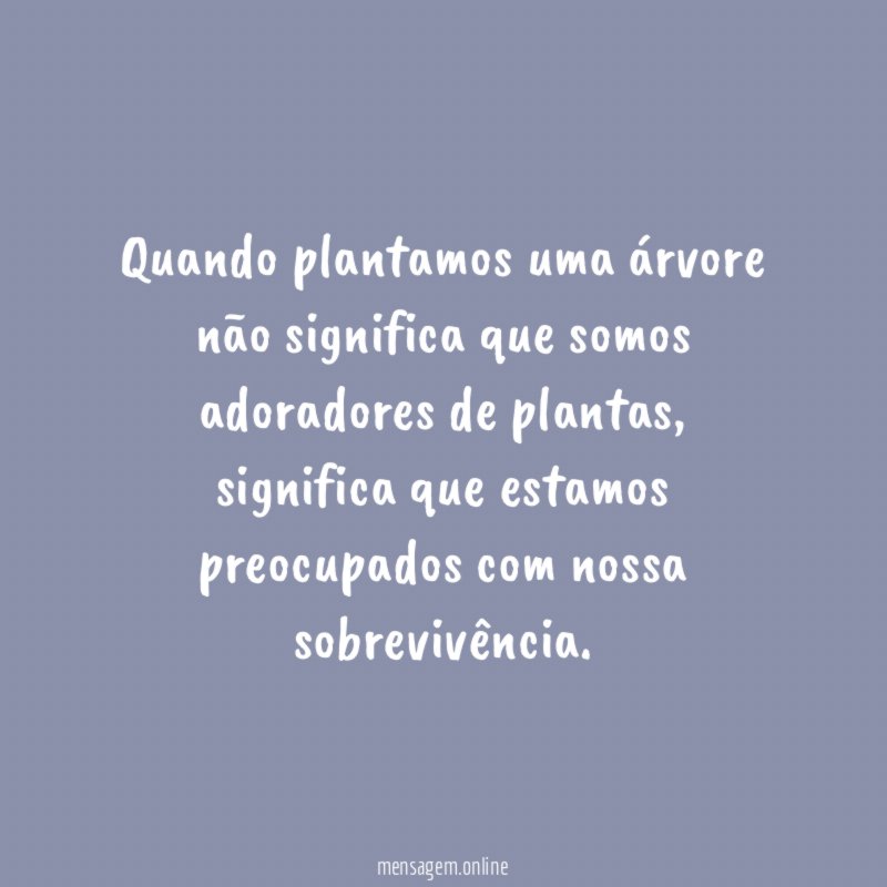 Quando plantamos uma árvore não significa que somos adoradores de plantas