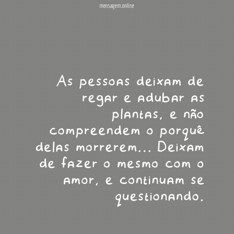 As pessoas deixam de regar e adubar as plantas