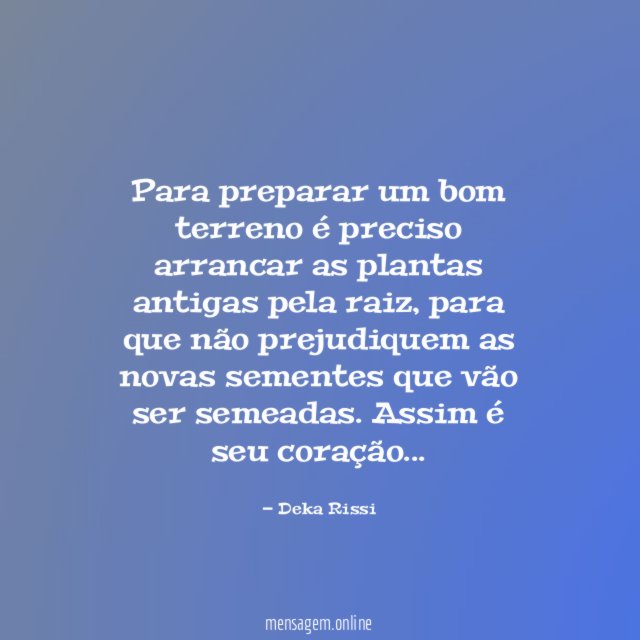 Para preparar um bom terreno é preciso arrancar as plantas antigas pela raiz