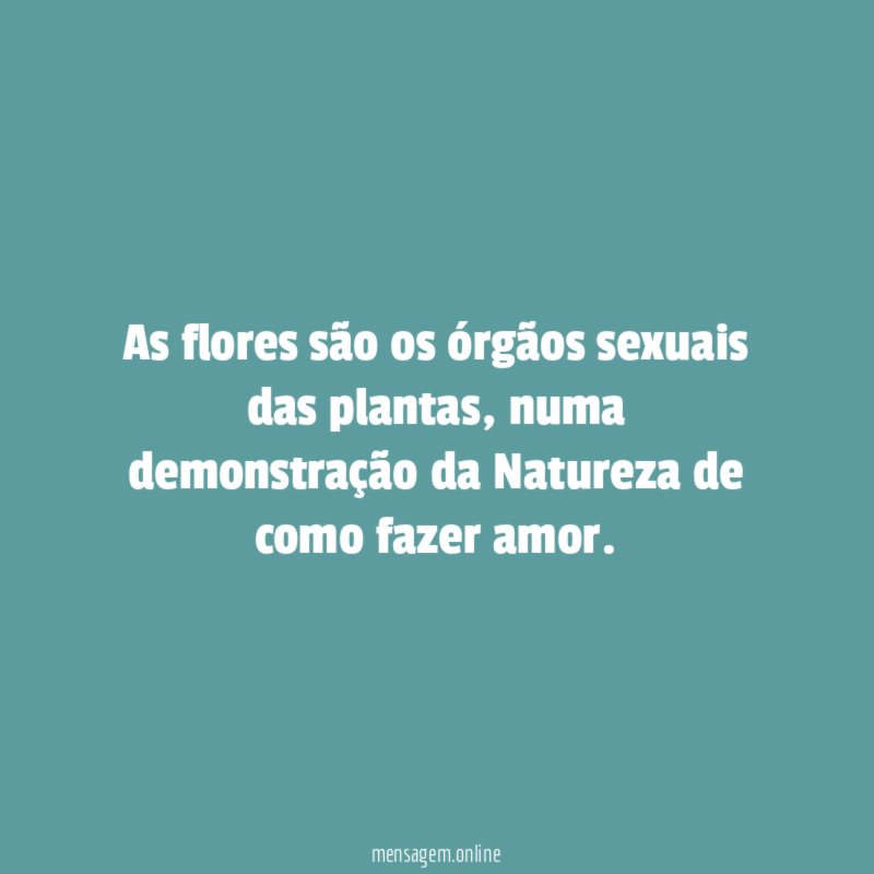 As flores são os órgãos sexuais das plantas