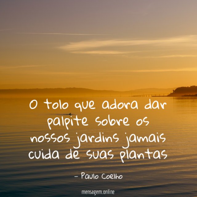 O tolo que adora dar palpite sobre os nossos