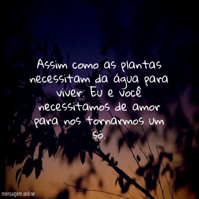 Assim como as plantas necessitam da água para viver