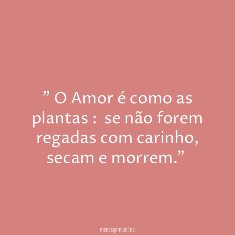 O Amor é como as plantas