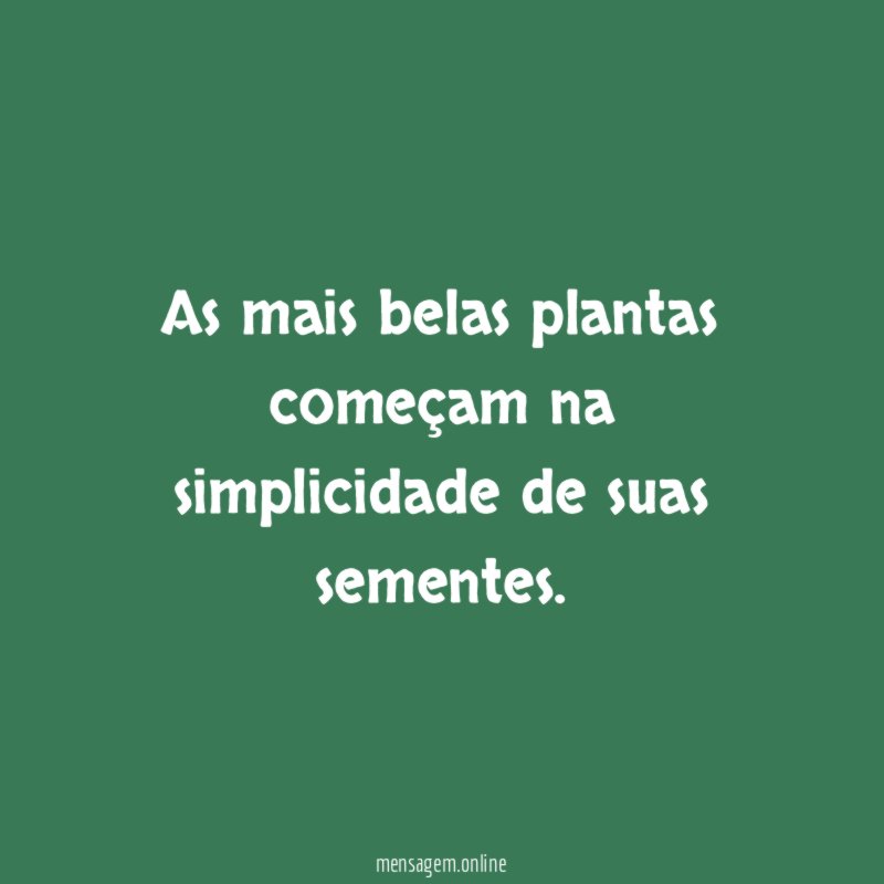 As mais belas plantas começam na simplicidade de suas sementes