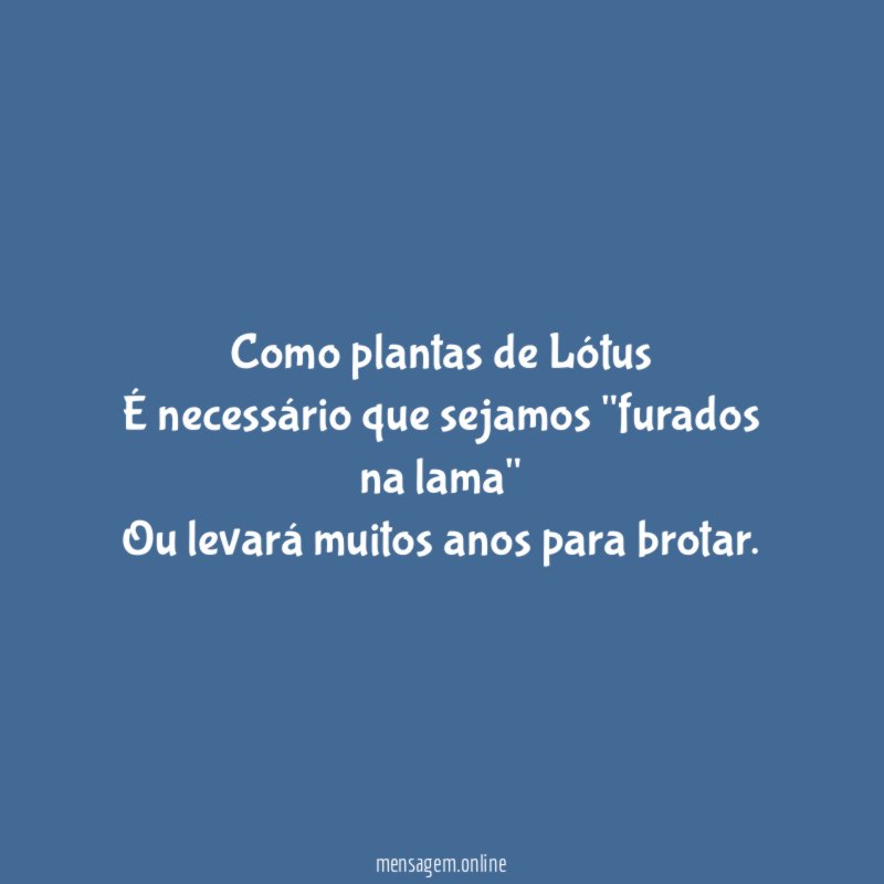 Como plantas de Lótus É necessário que sejamos "furados