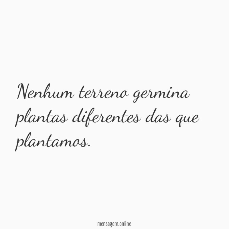 Nenhum terreno germina plantas diferentes das que plantamos