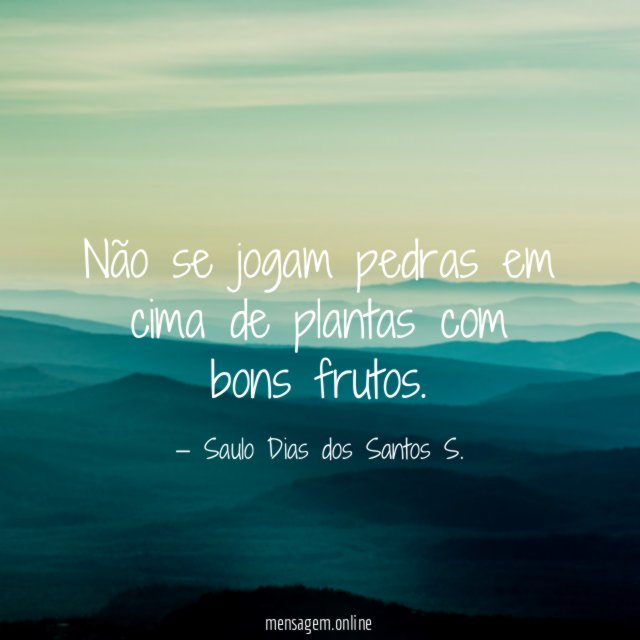 Não se jogam pedras em cima de plantas com bons frutos