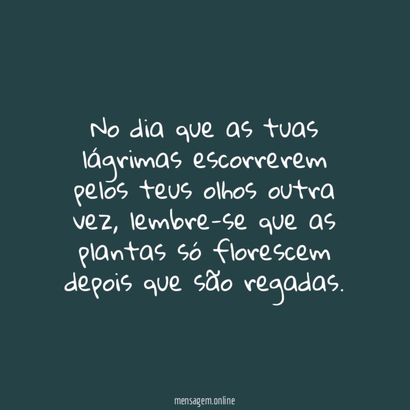 No dia que as tuas lágrimas escorrerem pelos