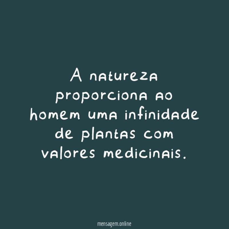 A natureza proporciona ao homem uma infinidade de plantas com valores medicinais