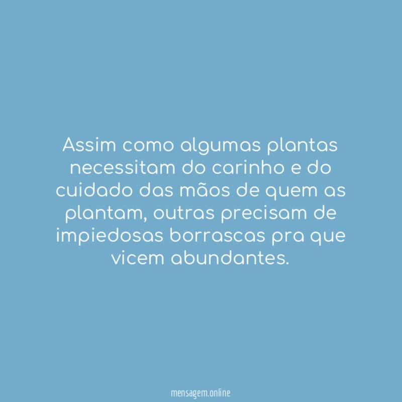 Assim como algumas plantas necessitam do carinho