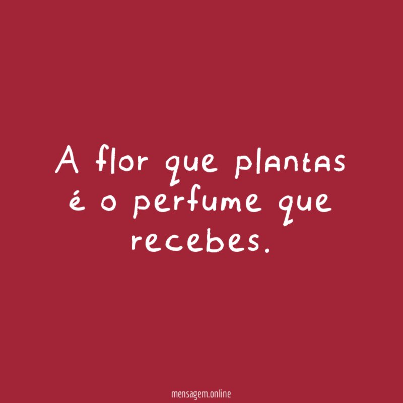 A flor que plantas é o perfume que recebes