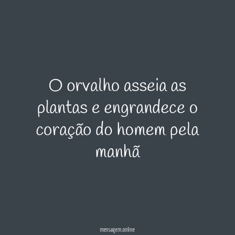 O orvalho asseia as plantas e engrandece