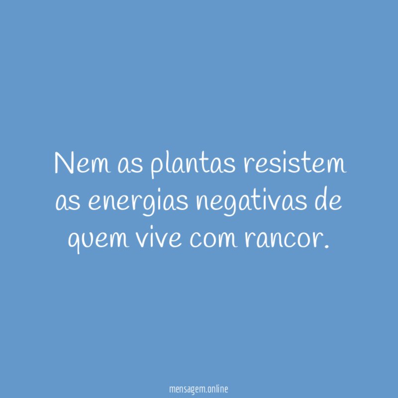 Nem as plantas resistem as energias negativas de quem vive com rancor
