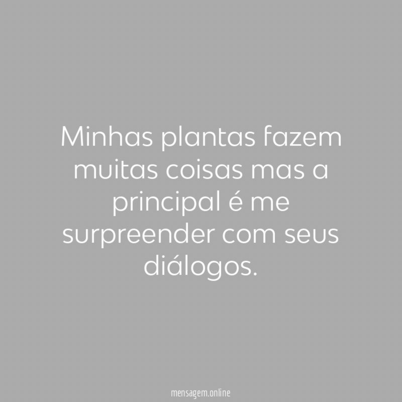 Minhas plantas fazem muitas coisas mas a principal